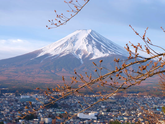 Mt. Fuji Snowcapped